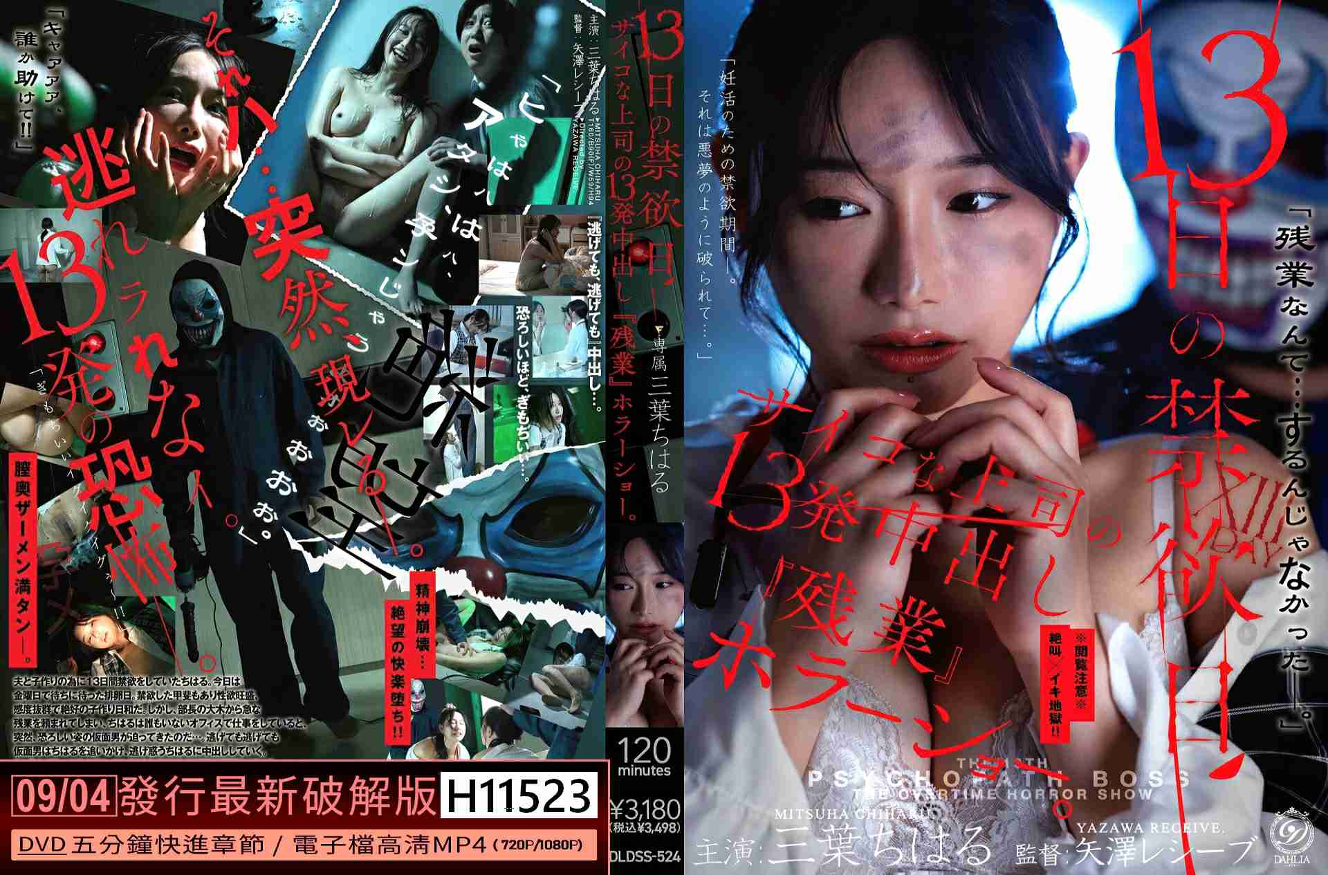 H11523