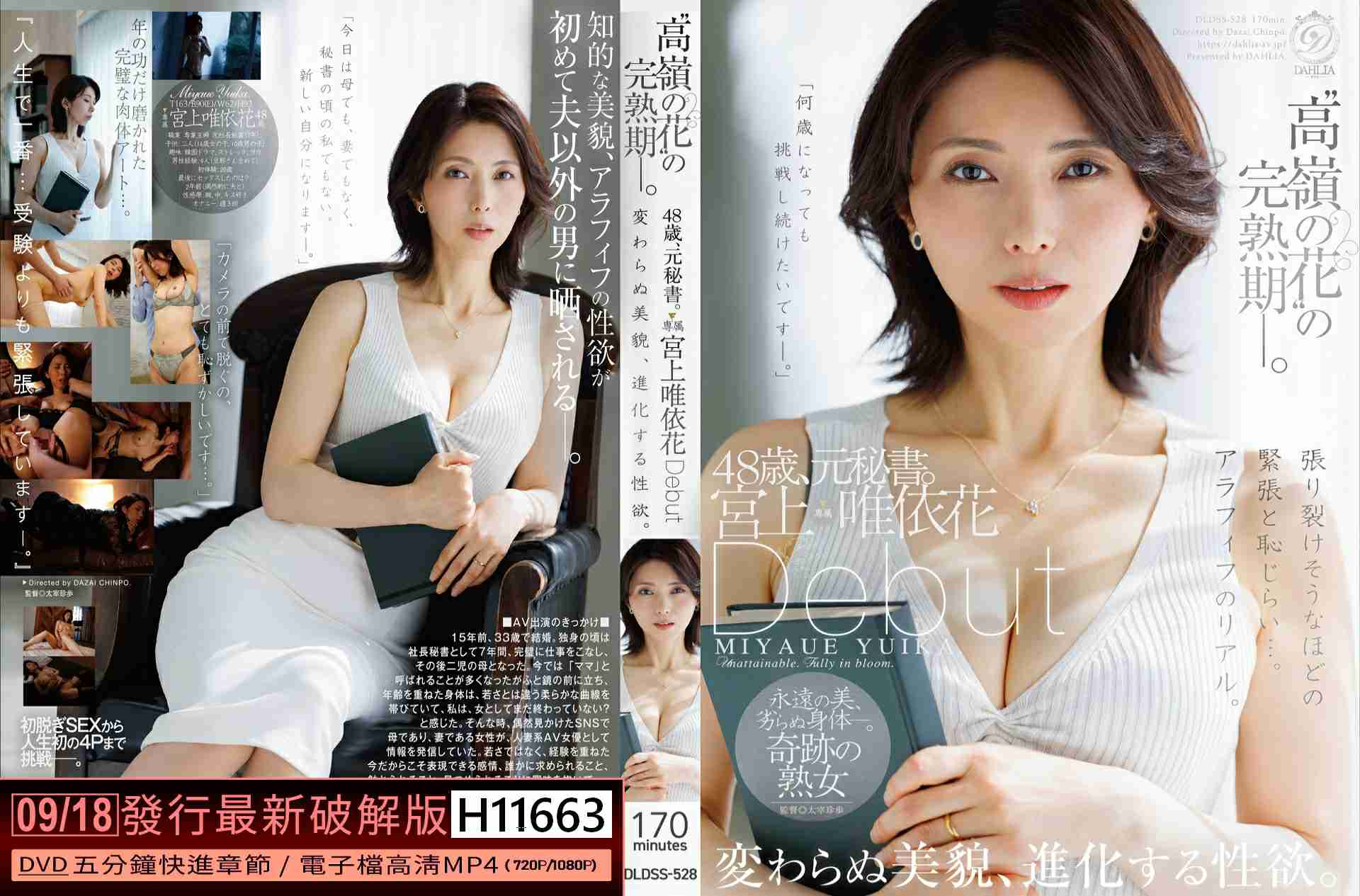 H11663