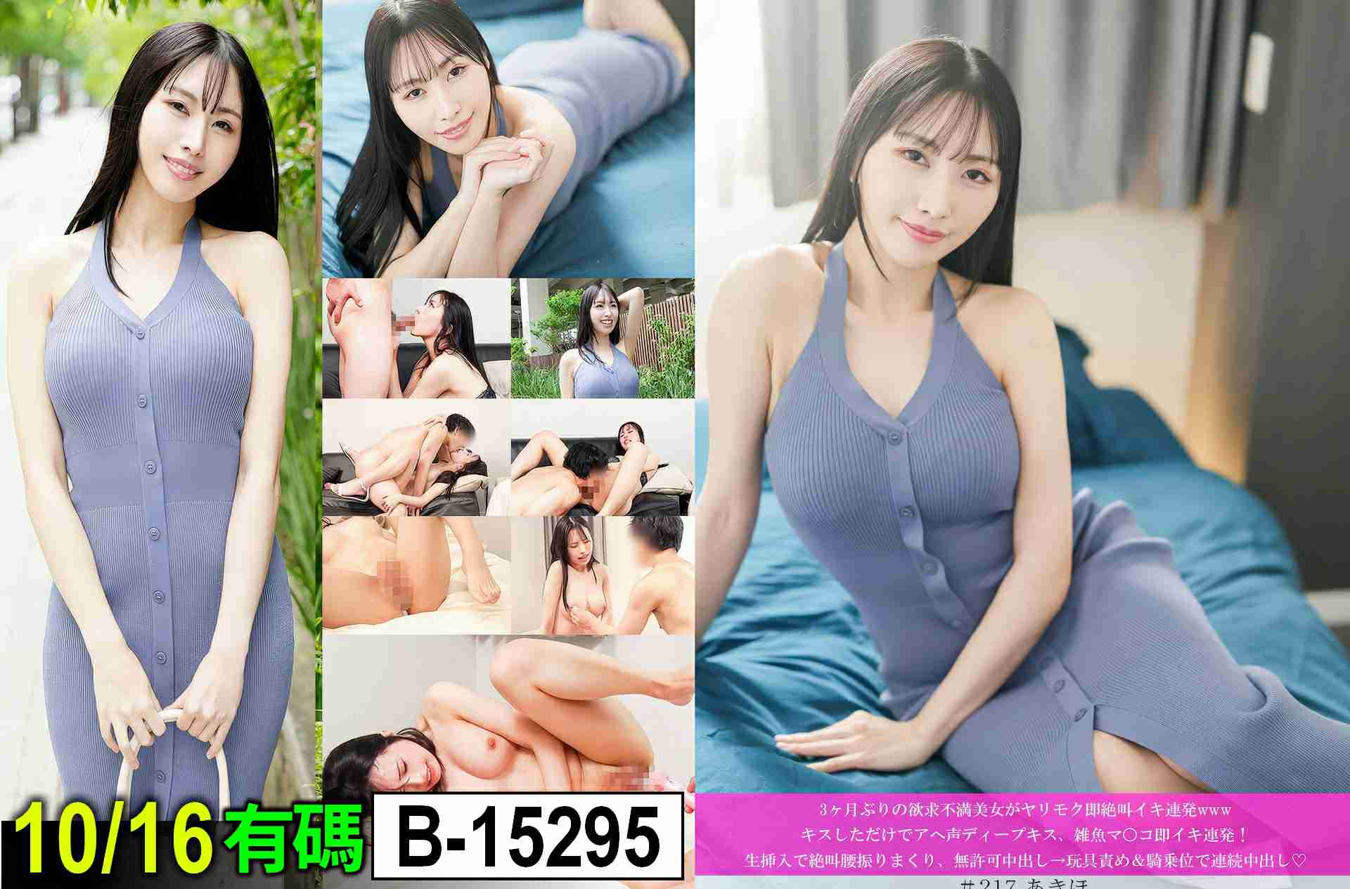 B-15295