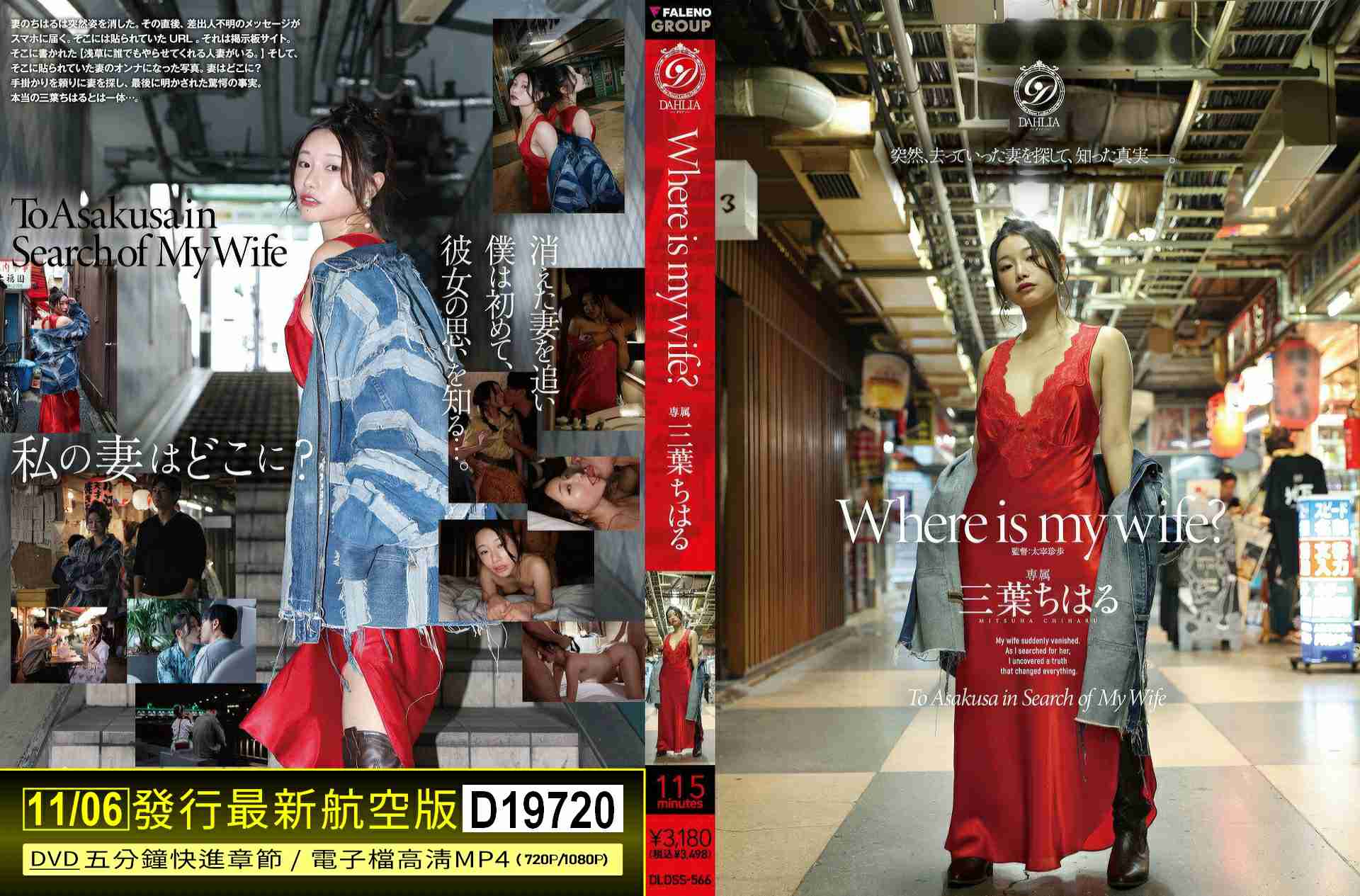 D19720